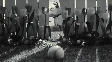 Zasłona do filmu "Frankenweenie" #806920
