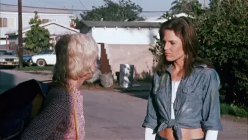 Zasłona do filmu "The Working Girls" #1153657