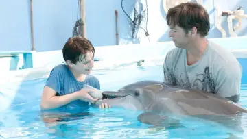 Zasłona do filmu "Mój przyjaciel Delfin" #250980
