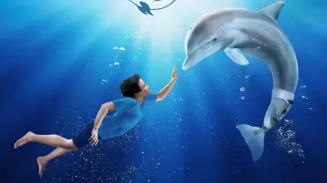 Zasłona do filmu "Mój przyjaciel Delfin" #250981
