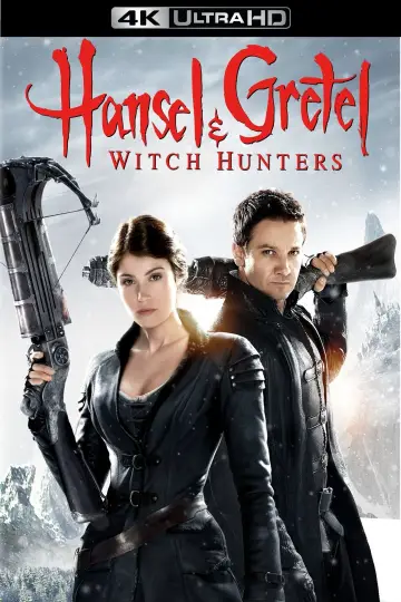 Plakat do filmu "Hansel i Gretel: Łowcy czarownic" #48554