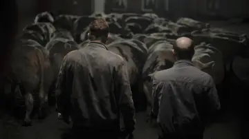 Zasłona do filmu "Głowa byka" #238877