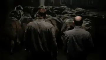 Zasłona do filmu "Głowa byka" #238879