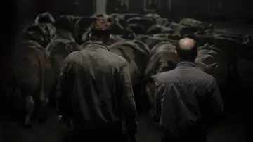 Zasłona do filmu "Głowa byka" #238882