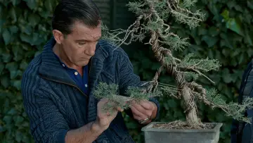 Zasłona do filmu "Skóra, w której żyję" #699203
