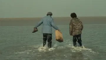 Zasłona do filmu "Maine Océan" #1162652