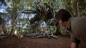 Zasłona do filmu "Mandragora" #656622