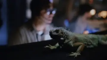 Zasłona do filmu "Carnosaur 2" #765482