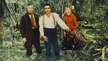 Zasłona do filmu "W poszukiwaniu deszczowego drzewa" #743506