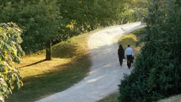 Zasłona do filmu "Les Revenants" #1821576