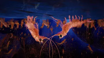 Zasłona do filmu "Happy Feet: Tupot małych stóp 2" #725486