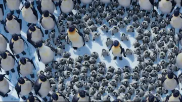 Zasłona do filmu "Happy Feet: Tupot małych stóp 2" #725498
