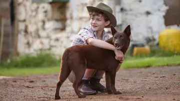 Zasłona do filmu "Przygody Rudego" #481759