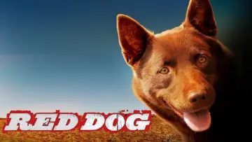 Zasłona do filmu "Przygody Rudego" #988566