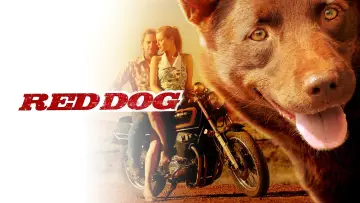 Zasłona do filmu "Przygody Rudego" #988567