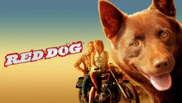 Zasłona do filmu "Przygody Rudego" #988568