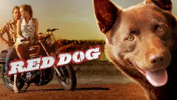 Zasłona do filmu "Przygody Rudego" #988571