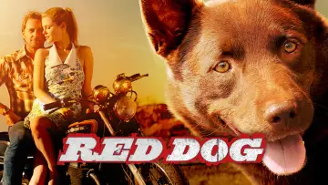 Zasłona do filmu "Przygody Rudego" #988573