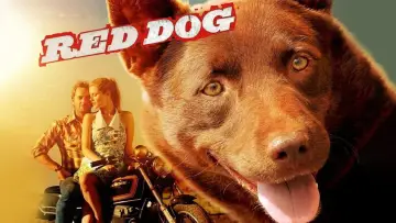 Zasłona do filmu "Przygody Rudego" #988576