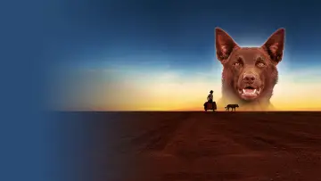 Zasłona do filmu "Przygody Rudego" #988577