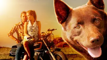 Zasłona do filmu "Przygody Rudego" #988581