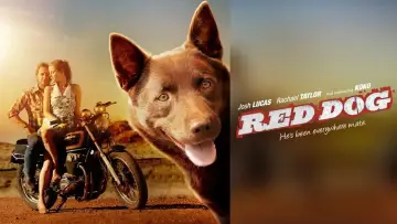 Zasłona do filmu "Przygody Rudego" #988588
