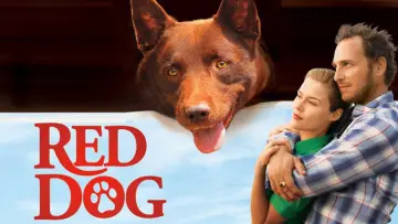 Zasłona do filmu "Przygody Rudego" #988592