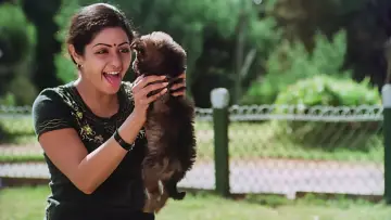 Zasłona do filmu "மூன்றாம் பிறை" #1158575