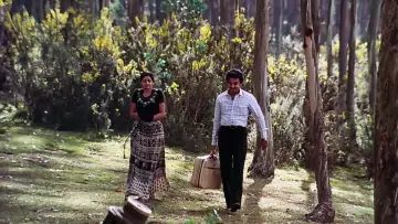 Zasłona do filmu "மூன்றாம் பிறை" #1158578
