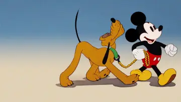 Zasłona do filmu "Pluto bohater" #1579855