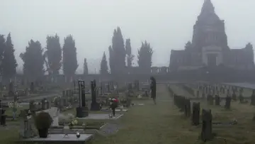 Zasłona do filmu "Makabra" #496841
