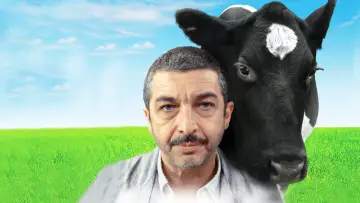 Zasłona do filmu "Chińczyk na wynos" #231137