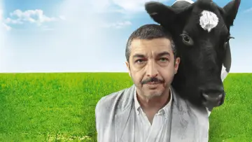 Zasłona do filmu "Chińczyk na wynos" #989838