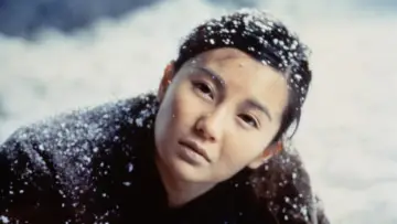 Zasłona do filmu "阮玲玉" #944717