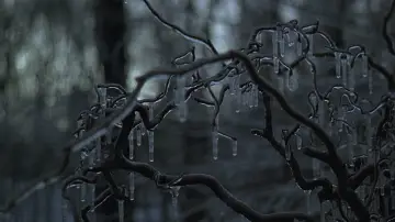 Zasłona do filmu "Burza lodowa" #880501
