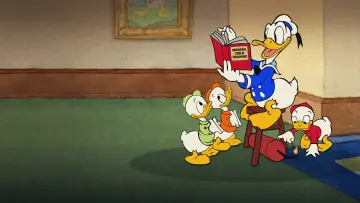 Zasłona do filmu "Donald