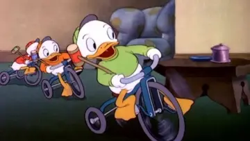 Zasłona do filmu "Donald