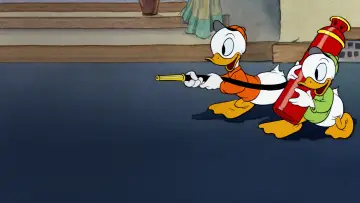 Zasłona do filmu "Donald