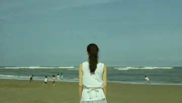 Zasłona do filmu "百万円と苦虫女" #940091