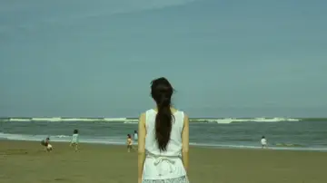 Zasłona do filmu "百万円と苦虫女" #940092