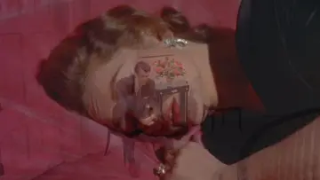 Zasłona do filmu "Pisane na wietrze" #1059959