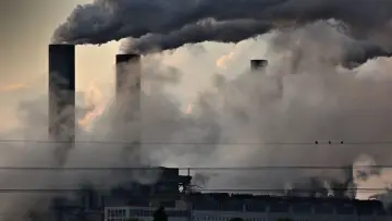 Zasłona do filmu "L