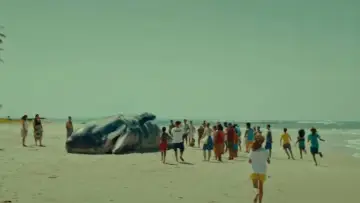 Zasłona do filmu "Bez serca" #1003433