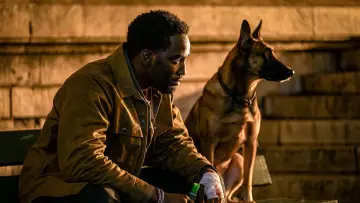 Zasłona do filmu "John Wick 4" #161056
