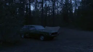 Zasłona do filmu "Seryjny morderca" #422115
