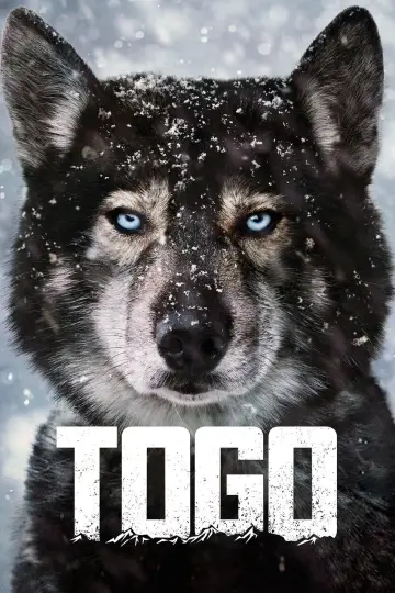 Plakat do filmu "Togo" #1200138
