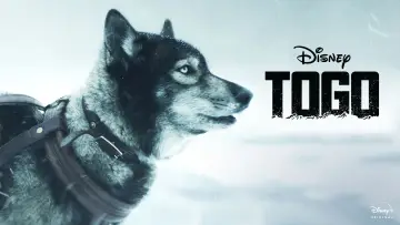 Zasłona do filmu "Togo" #61340