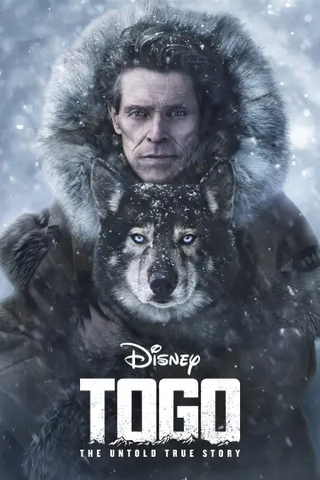 Plakat do filmu "Togo" #61346
