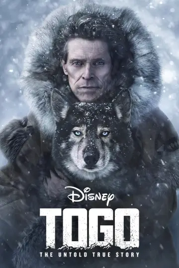Plakat do filmu "Togo" #61348