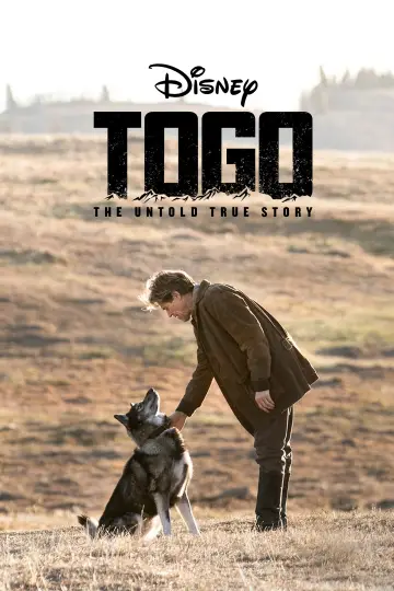 Plakat do filmu "Togo" #61352